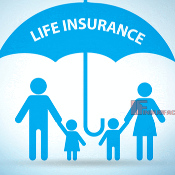 Life Insurance Service Provider in Coimbatore - IndusFact